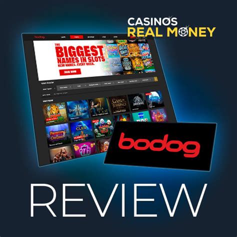 bodog eu|bodog casino.